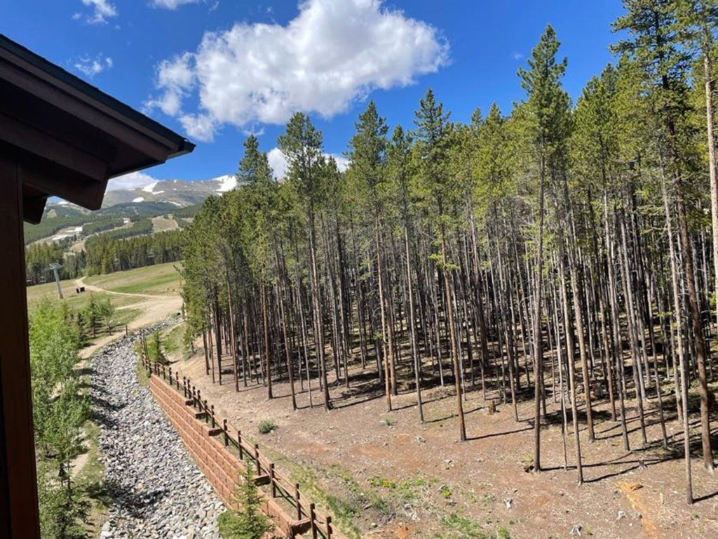 June 20th 2022 Grand Lodge (6)