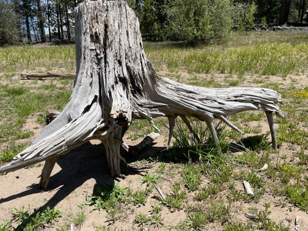 June 21 2022 Lake Dillon (20)