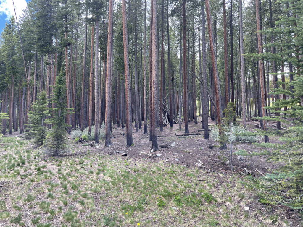 June 24th 2022 - Gondola (14)