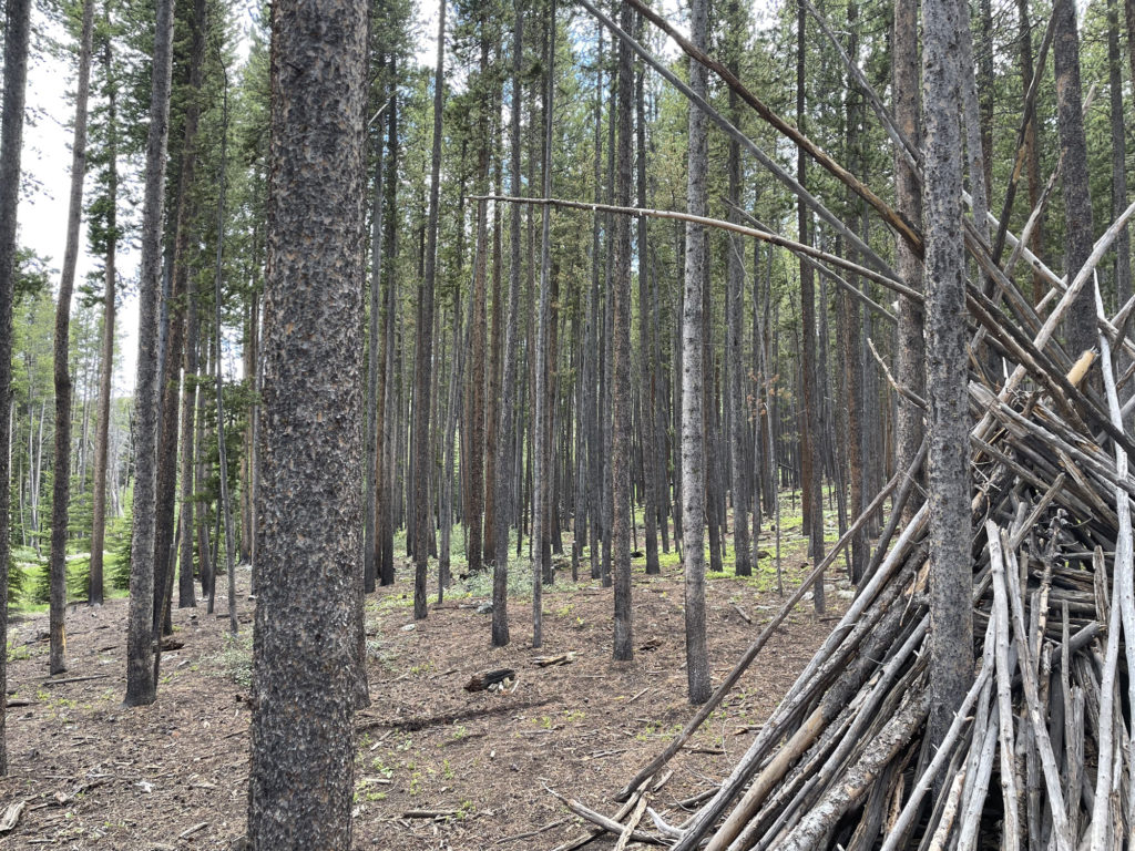 June 24th 2022 - Gondola (19)