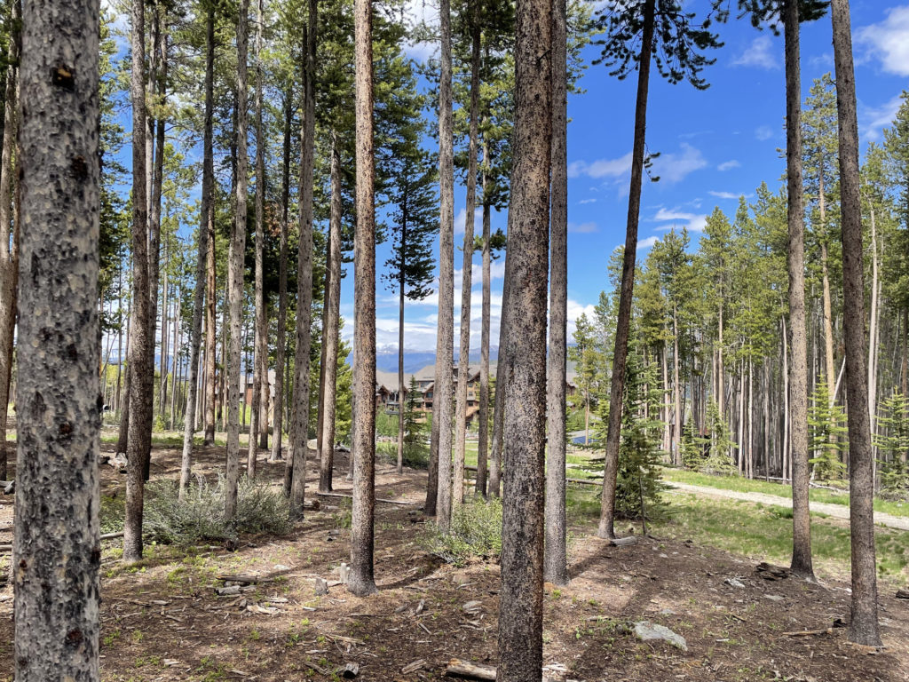 June 24th 2022 - Gondola (26)