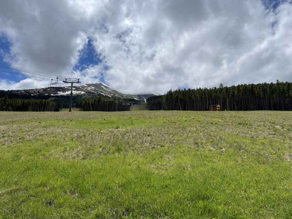 June 24th 2022 - Gondola (4)