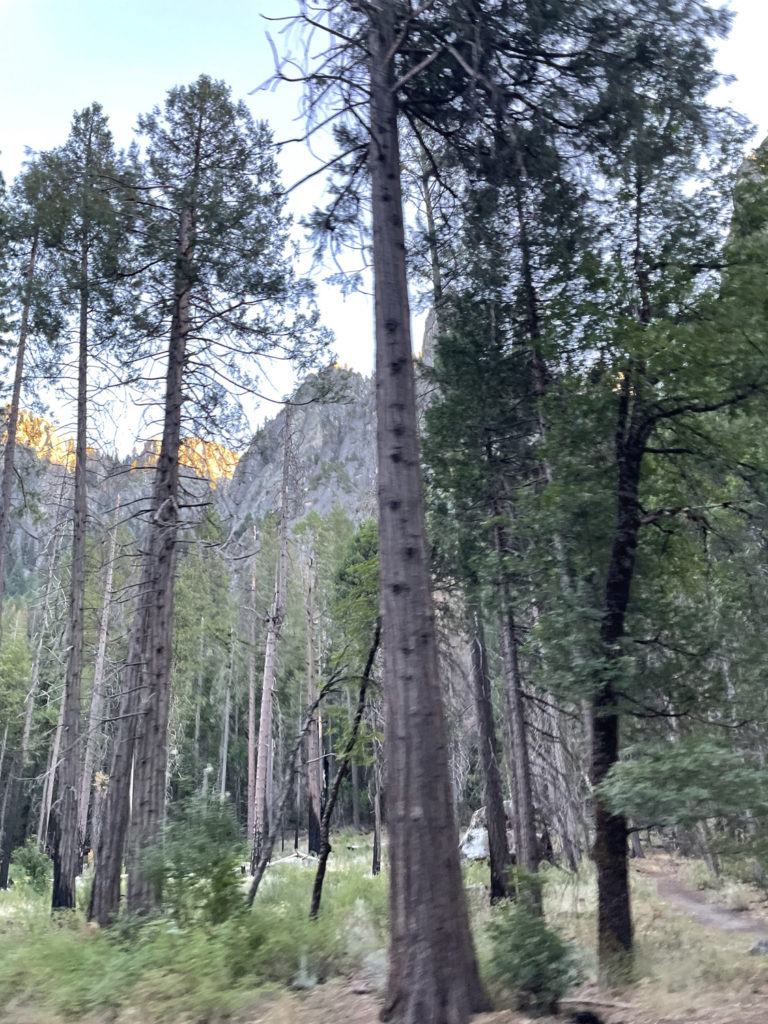 august-26th-2022 (33)