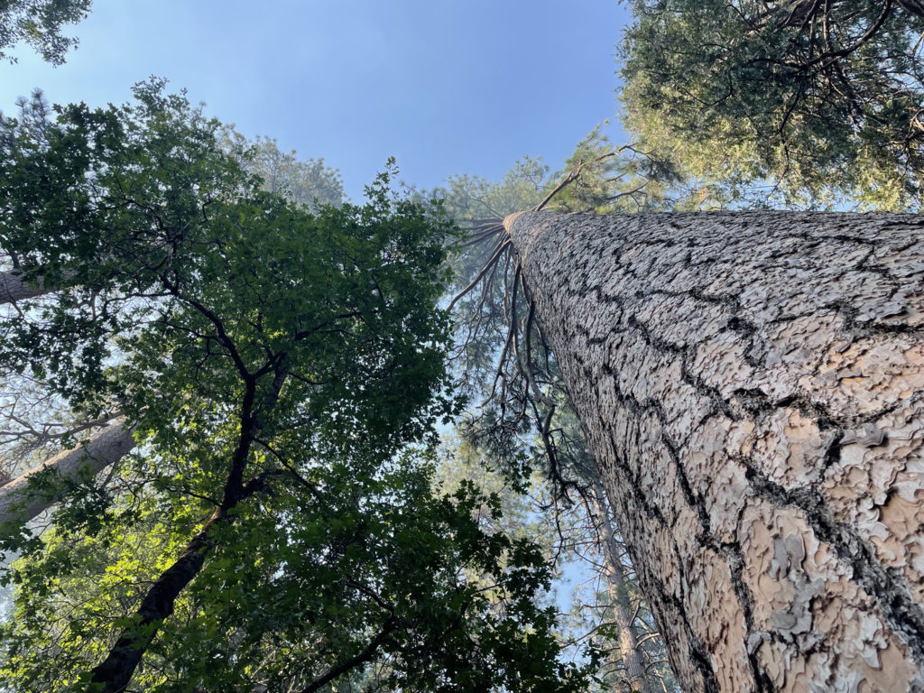 august-27th-2022 (44)