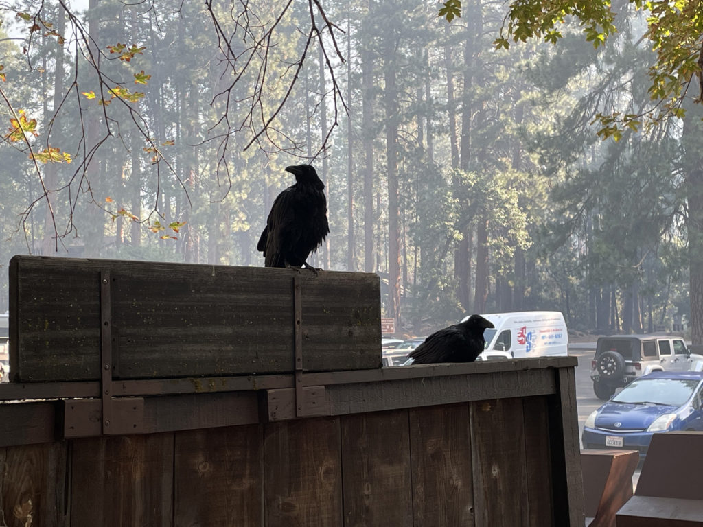 august-27th-2022 (69)