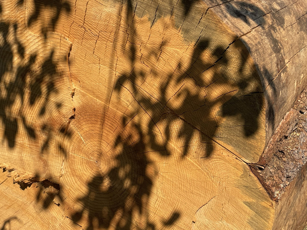 august-27th-2022 (73)