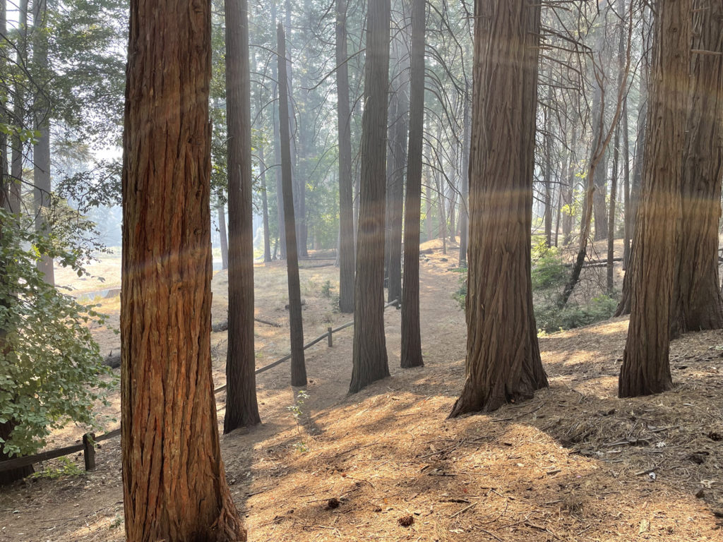 august-27th-2022 (81)