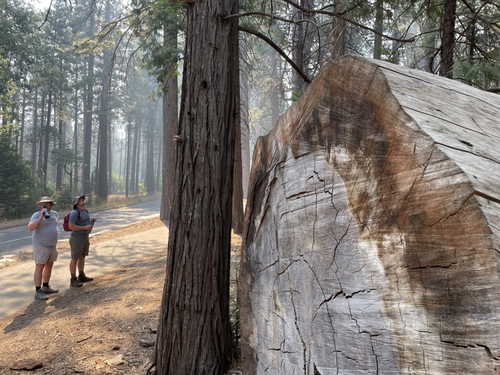 august-27th-2022 (83)