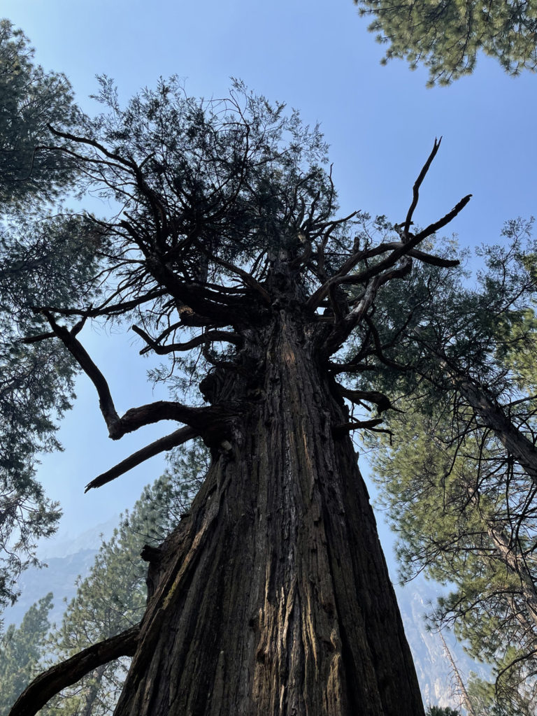 august-27th-2022 (85)