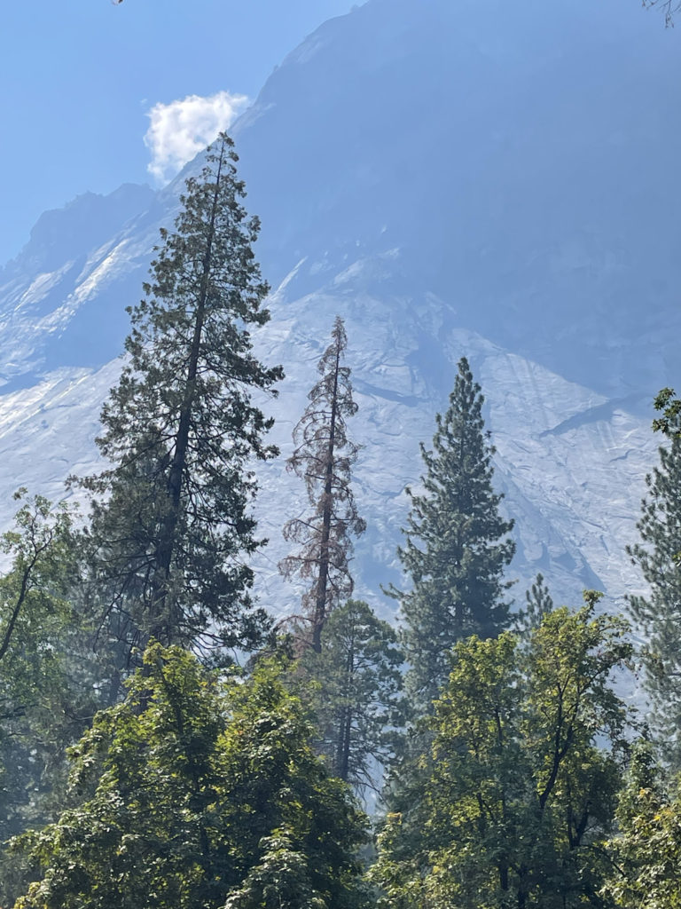 august-27th-2022 (88)