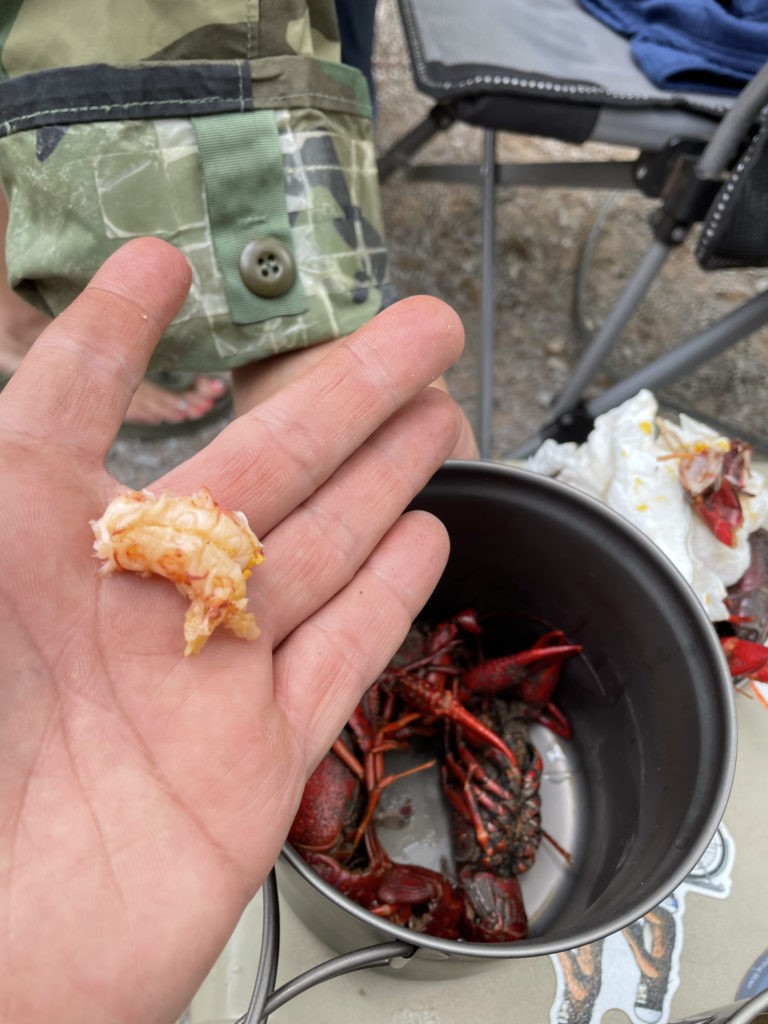 A bit of crawfish meat.