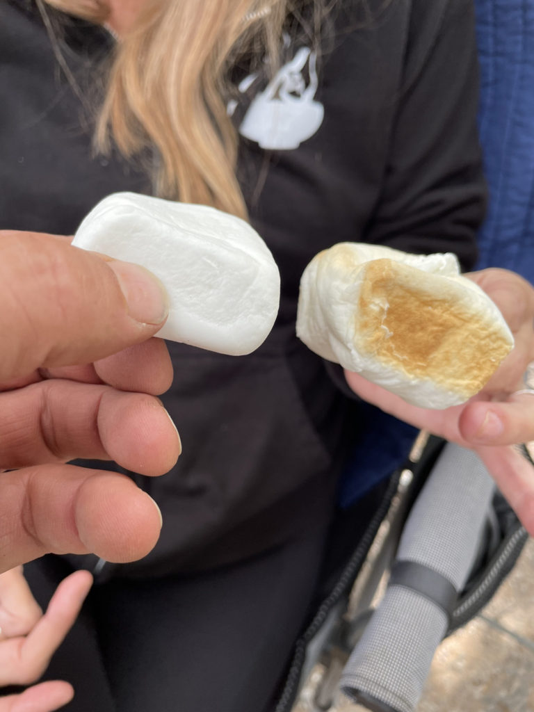 may-20-central-park (18)