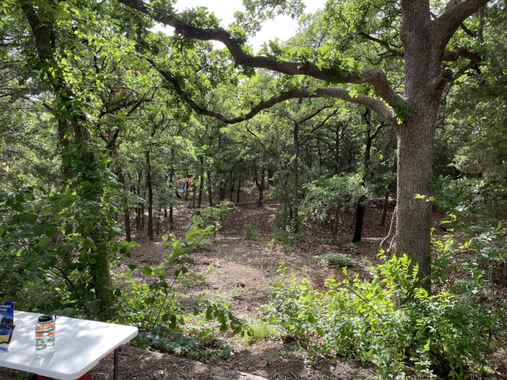 may-20-central-park (23)