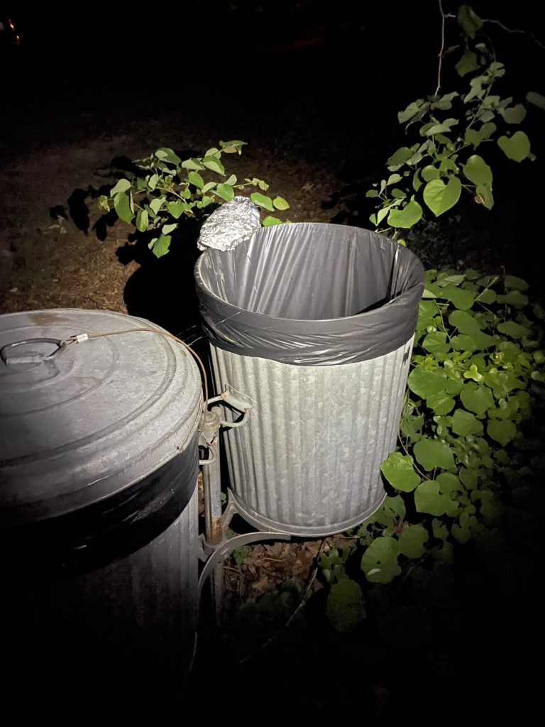 may-20-central-park (38)