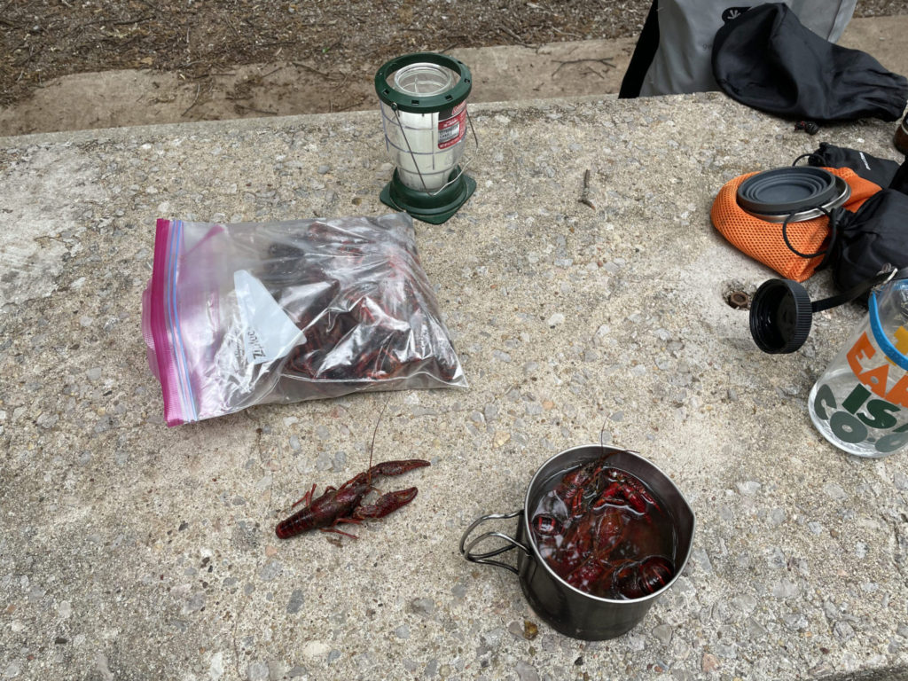Boiling some crayfish from our neighbor.