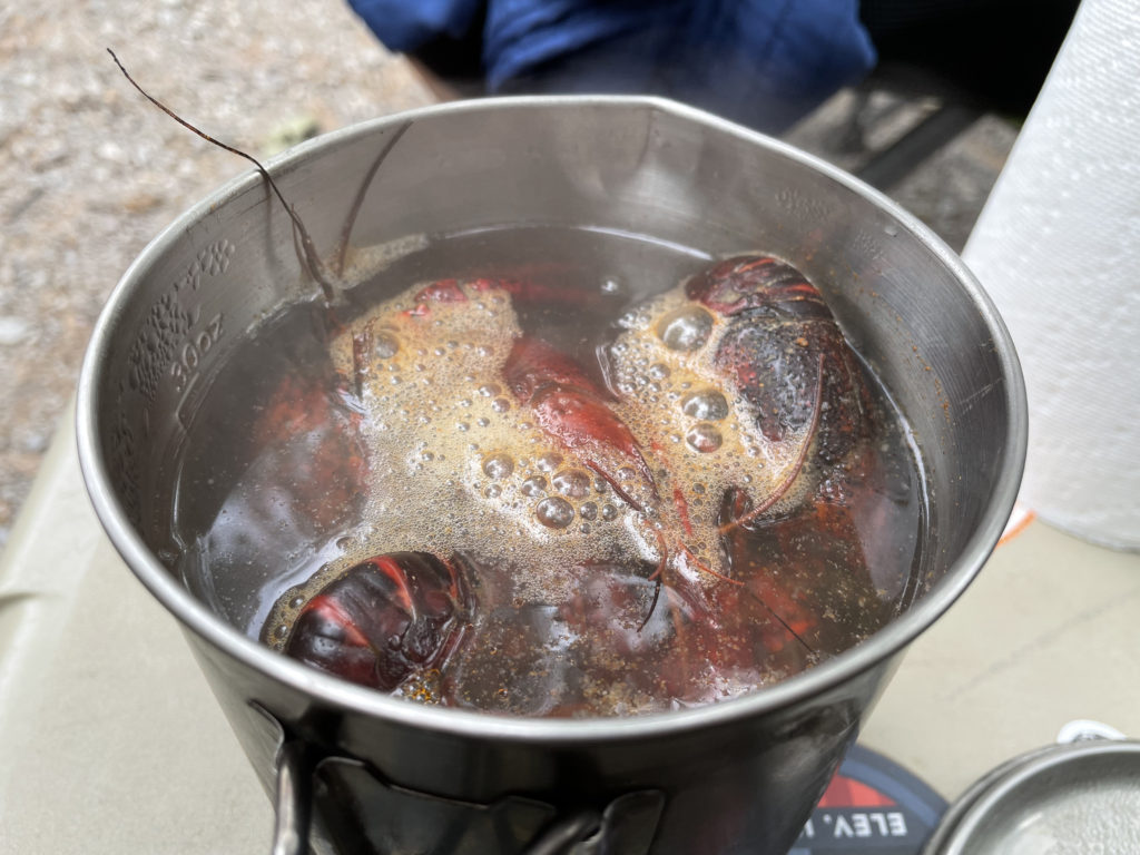Boiling some crayfish from our neighbor.
