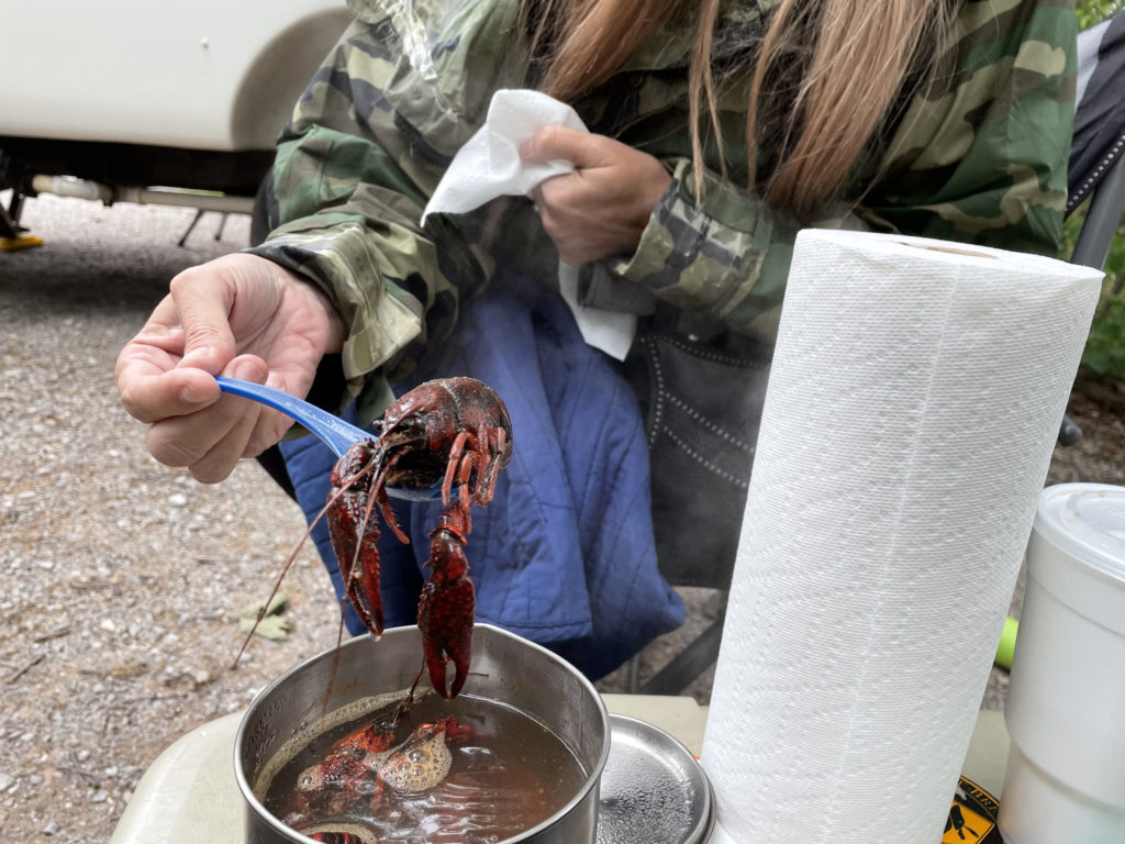 Boiling some crayfish from our neighbor while camping.
