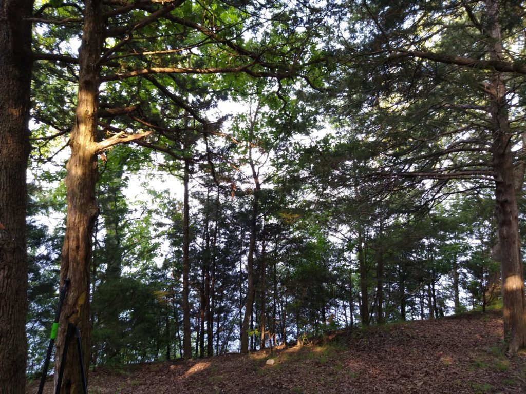 zero-reliance-images-batch (102)