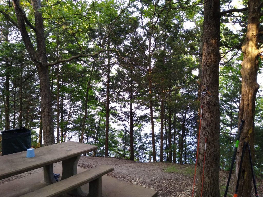 zero-reliance-images-batch (103)