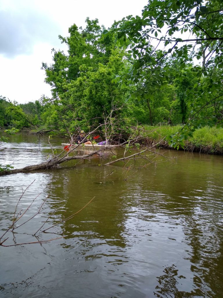 zero-reliance-images-batch (21)