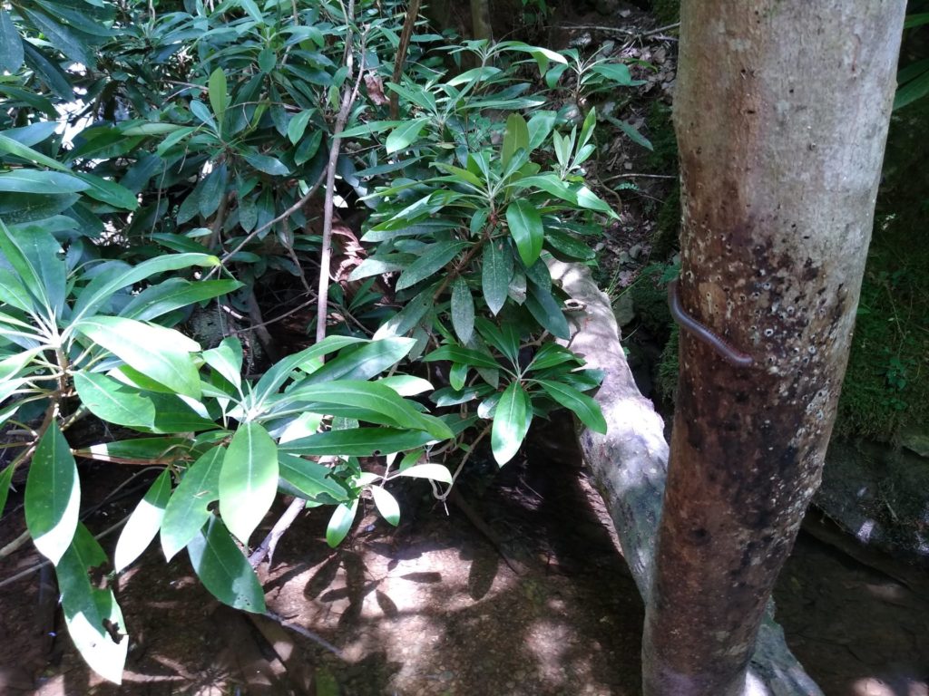 zero-reliance-images-batch (38)