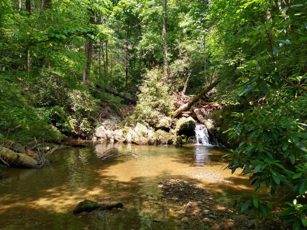 zero-reliance-images-batch (41)