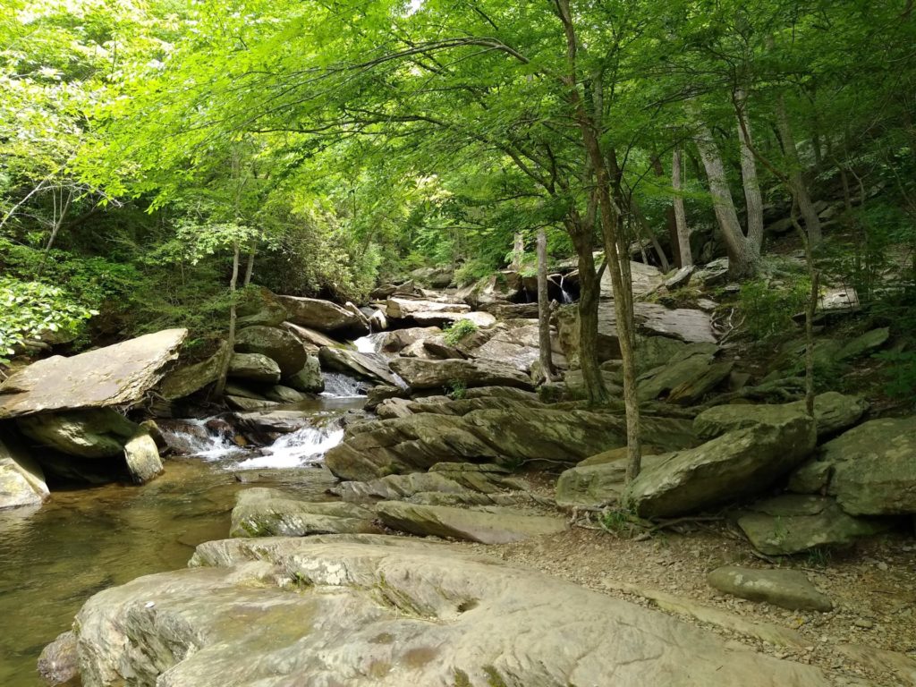 zero-reliance-images-batch (48)