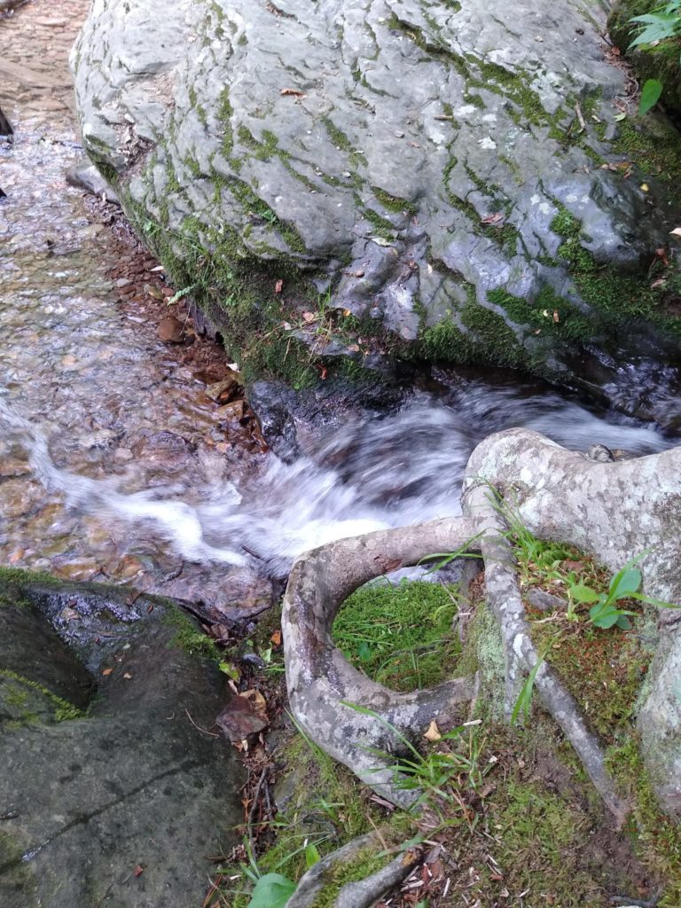 zero-reliance-images-batch (52)