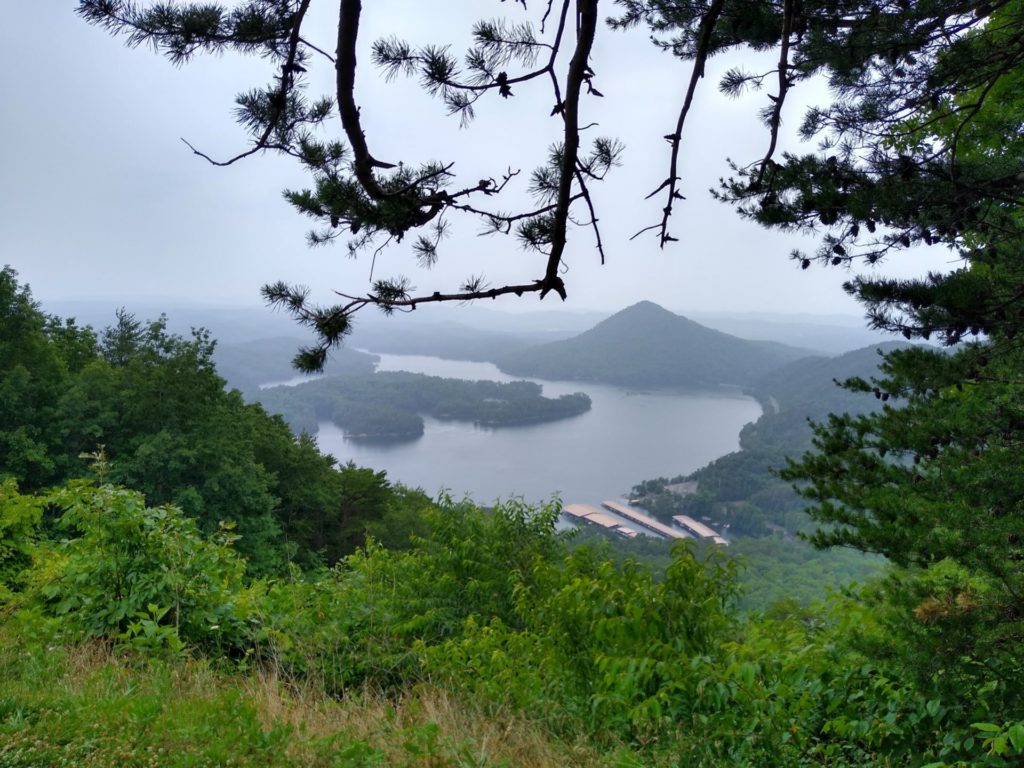 zero-reliance-images-batch (54)