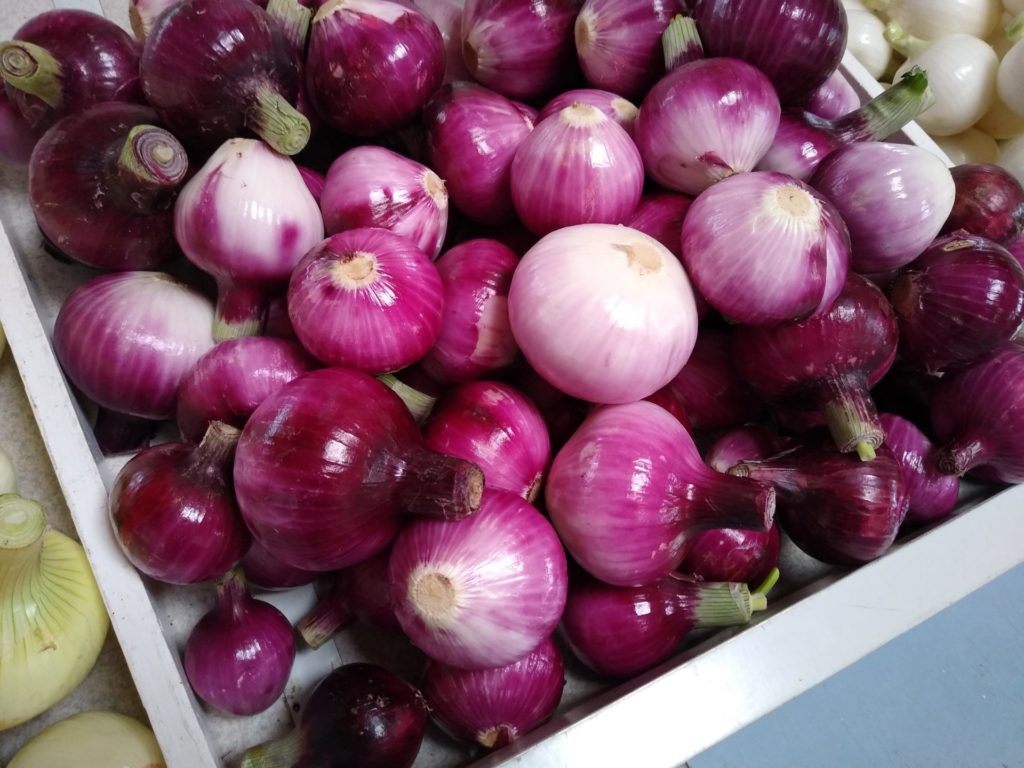 zero-reliance-images-batch (65)