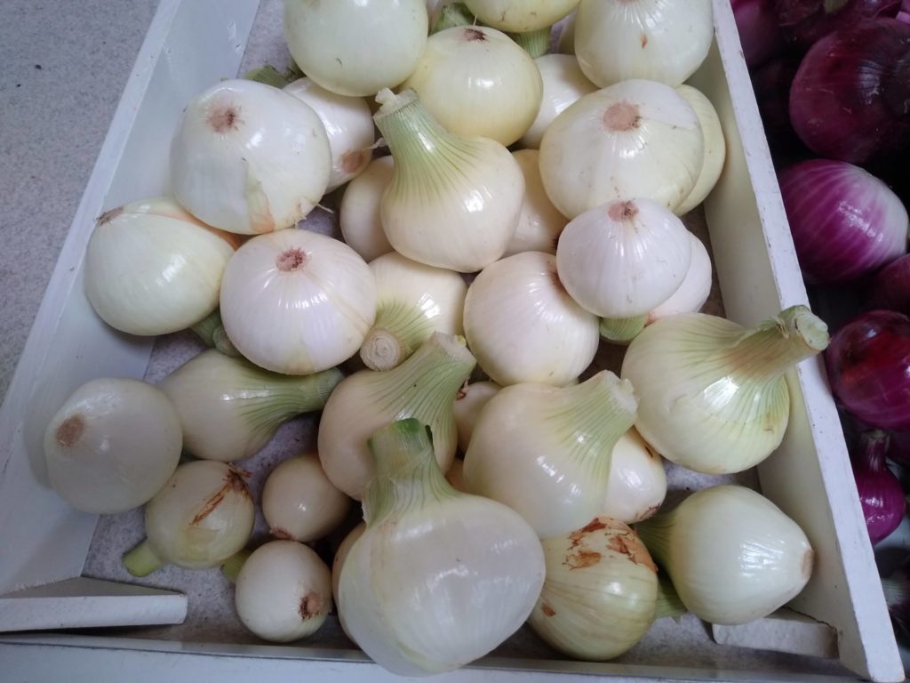 zero-reliance-images-batch (66)