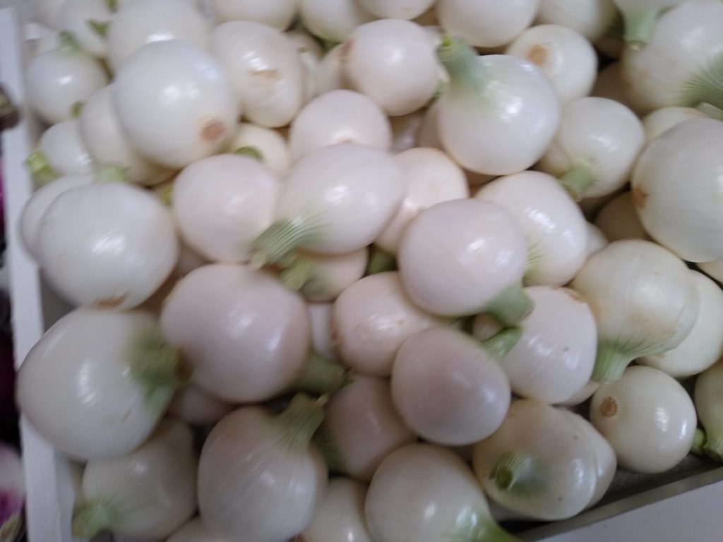 zero-reliance-images-batch (67)