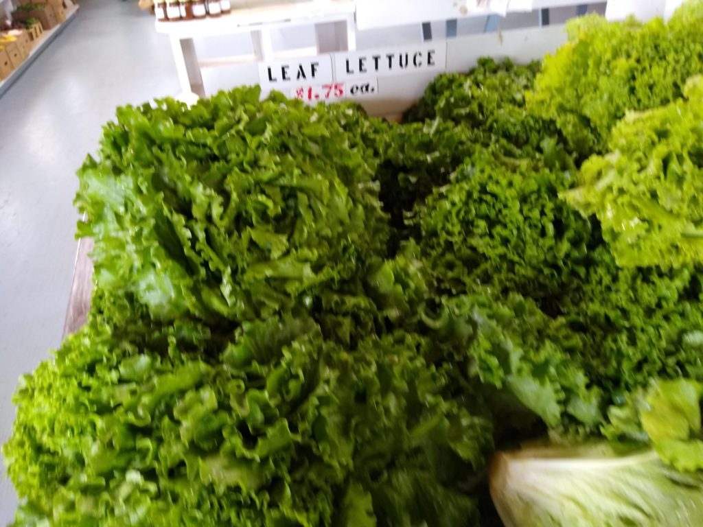 zero-reliance-images-batch (68)