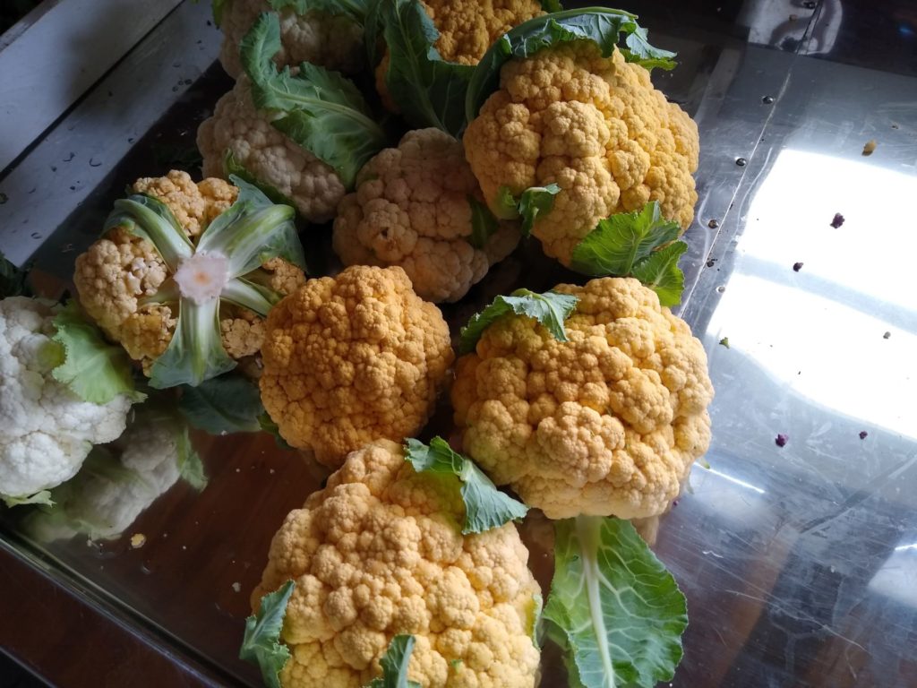 zero-reliance-images-batch (69)