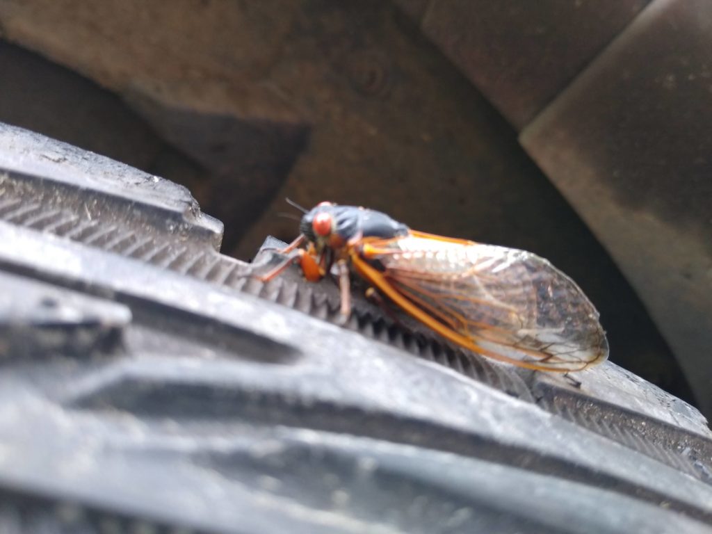 zero-reliance-images-batch (75)