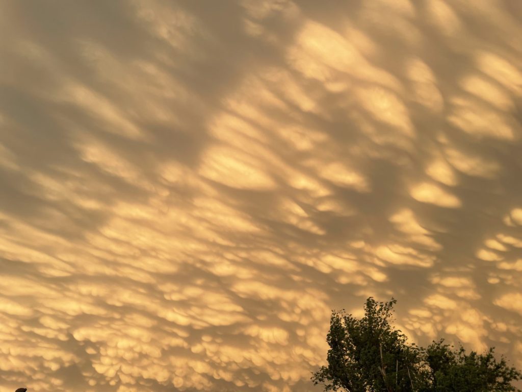 zero-reliance-sunsets-evenings (4)